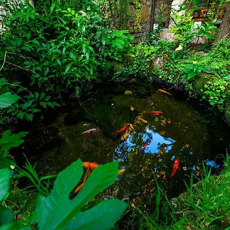 Wine Garden Casa de hóspedes Skradin