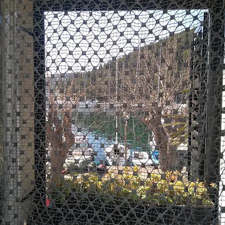Wine Garden 4*