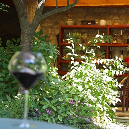 Wine Garden 4* Skradin