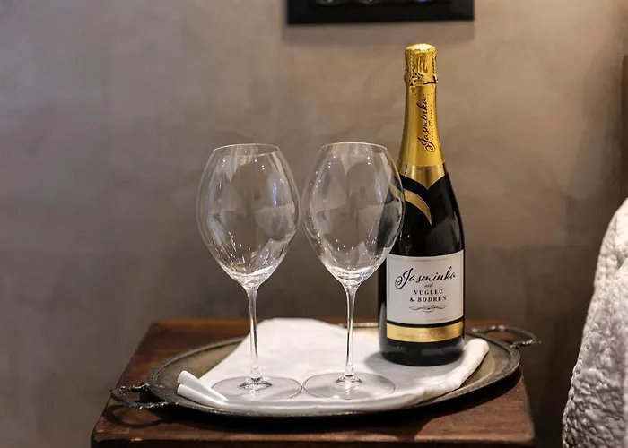 ゲストハウス Wine Garden スクラーディン