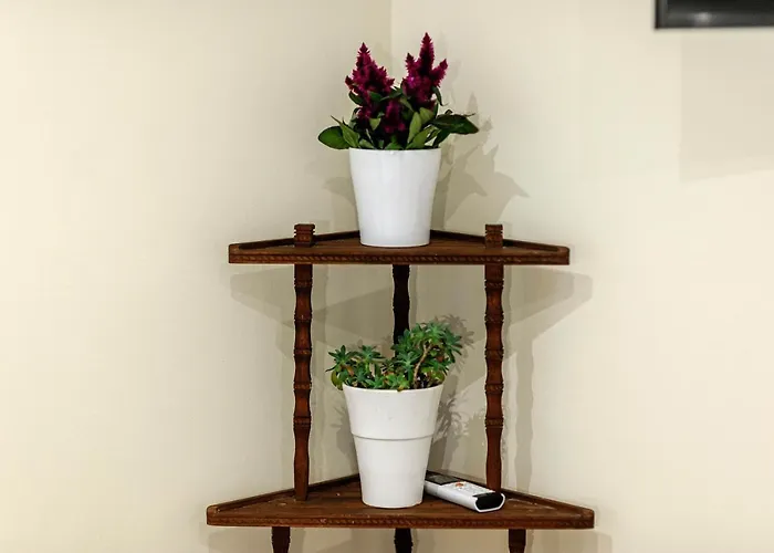 ゲストハウス Wine Garden スクラーディン