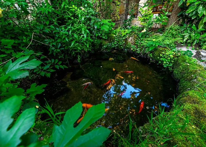 Wine Garden Maison d'hôtes Skradin