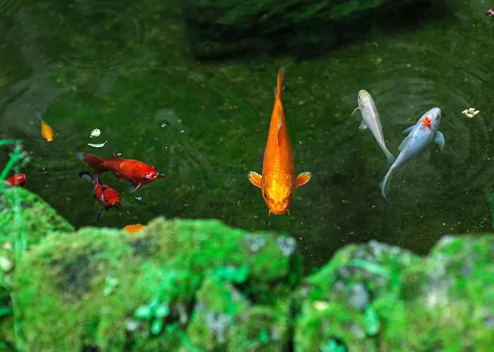 Wine Garden ゲストハウス スクラーディン