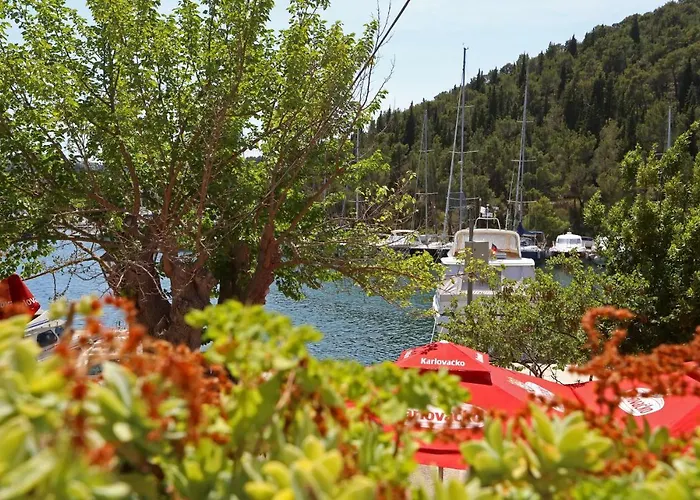 Wine Garden Maison d'hôtes